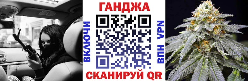 Конопля сатива Окуловка